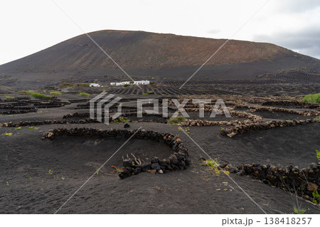 A unique vineyard landscape on the volcanic island of Lanzarote, with low stone walls protecting vines. The area is known for its distinctive winemaking techniques. A unique vineyard landscape on the volcanic island of Lanzarote, with low stone walls protecting vines. The area is known for its distinctive winemaking techniques. 138418257