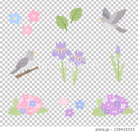一組以初夏花卉和杜鵑鳥為主題的插圖。 一組以初夏花卉和杜鵑鳥為主題的插圖。 138418333