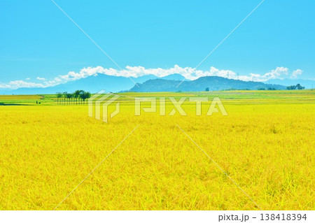 豊穣の田園のハサ木・越後三山風景 138418394
