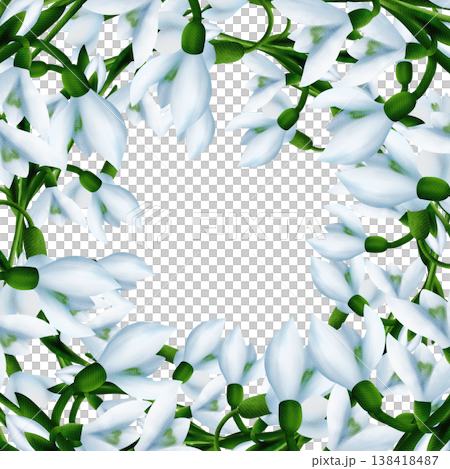 Square frame with white snowdrops, green branches, floral plant, snowdrop bloom with green leaves. Digital watercolor Square frame with white snowdrops, green branches, floral plant, snowdrop bloom with green leaves. Digital watercolor 138418487