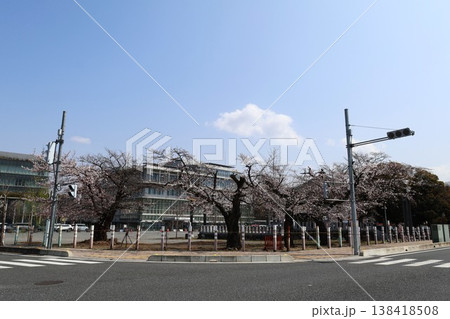 秩父市役所(埼玉県秩父市熊木町) 秩父市役所(埼玉県秩父市熊木町) 138418508