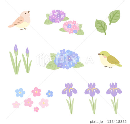 初夏の花と小鳥のイラスト素材セット 初夏の花と小鳥のイラスト素材セット 138418883