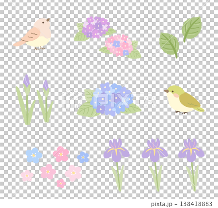 初夏の花と小鳥のイラスト素材セット 初夏の花と小鳥のイラスト素材セット 138418883