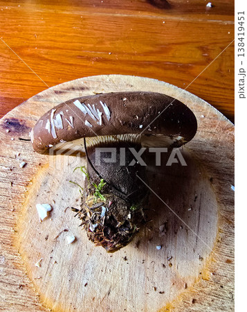 Fresh forest mushroom on a round wooden cutting board 138419451