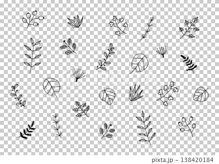 一組手繪植物插圖,例如葉子和堅果(黑色)。 一組手繪植物插圖,例如葉子和堅果(黑色)。 138420184