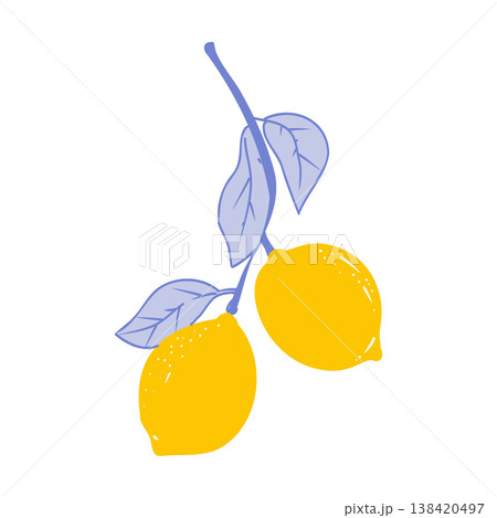 Cute coquette print lemons on branch. Floral trellis citrus. Lemon with leaves, lemon slice, part. Cute coquette print lemons on branch. Floral trellis citrus. Lemon with leaves, lemon slice, part. 138420497