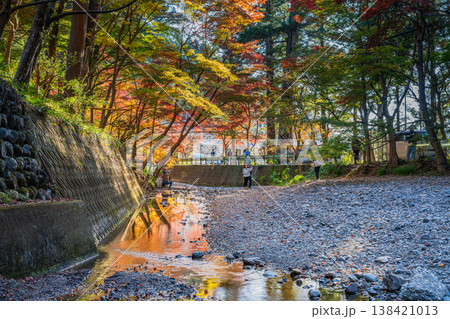 森町の遠江国一宮小國神社の紅葉の風景(静岡県) 森町の遠江国一宮小國神社の紅葉の風景(静岡県) 138421013