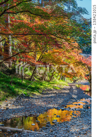 森町の遠江国一宮小國神社の紅葉の風景(静岡県) 森町の遠江国一宮小國神社の紅葉の風景(静岡県) 138421015
