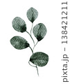 Green leaf watercolor on white background 138421211