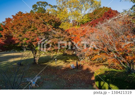 浜松市の鳥羽山公園の紅葉の風景(静岡県) 浜松市の鳥羽山公園の紅葉の風景(静岡県) 138421319