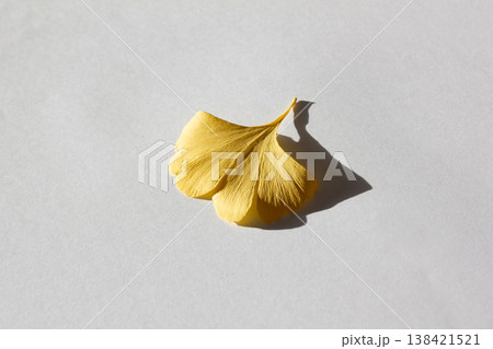 These are ginkgo leaves that have turned yellow. 138421521
