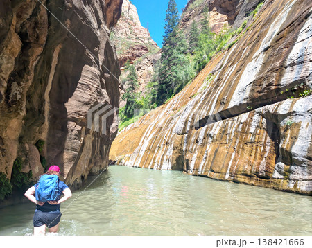 A single hiker lifting a pack as she begins a deep section of the Narrows in Zion National Park A single hiker lifting a pack as she begins a deep section of the Narrows in Zion National Park 138421666