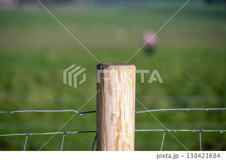 Wooden fence post stands next to wire fence on a farm under a bright sky with green grass in the background Wooden fence post stands next to wire fence on a farm under a bright sky with green grass in the background 138421684