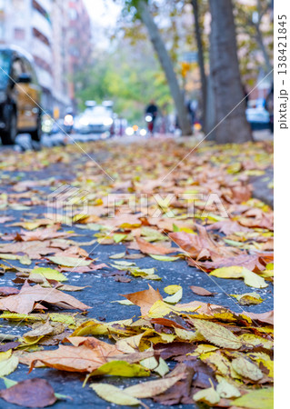 Gathering fallen leaves on a street in autumn during a cool afternoon near parked cars and moving traffic 138421845