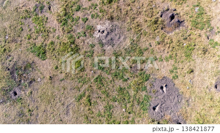 aerial view looking down over a vast field of Prairie dog burrows and tunnel openings aerial view looking down over a vast field of Prairie dog burrows and tunnel openings 138421877