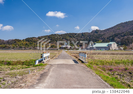 田園の中を貫く一本道　滋賀県近江八幡市安土 138422046