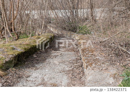 Mossy Concrete Path Winding Through Bare Winter Woods With Green Patches And Fallen Leaves Creating Natural Serene Atmosphere 138422371