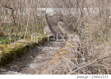 Overgrown Mossy Stone Pathway Winding Through Bare Winter Bushes Leading Uphill in Natural Forest Setting with Earthy Tones and Textured Ground Cover 138422372