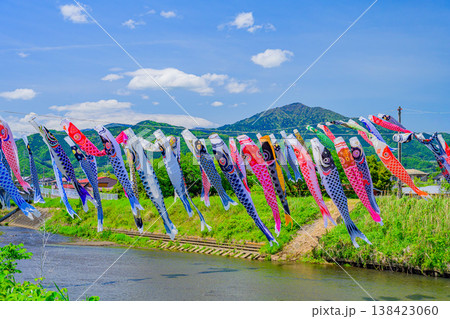 丹沢の大山を望む鈴川の鯉のぼり 五月晴れの空に泳ぐ200匹の鯉のぼり（平塚市） 138423060