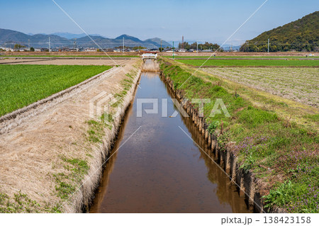 滋賀県近江八幡市安土の田園風景　 138423158