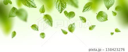 Fresh green mint leaves floating in air 138423276