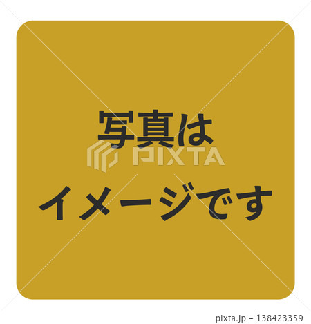写真はイメージであることを示す注意ラベル 写真はイメージであることを示す注意ラベル 138423359