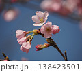 青空と一輪の桜 138423501