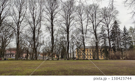 Urban park in early spring with bare trees. Perfect for seasonal visuals, outdoor themes, and lifestyle content. Urban park in early spring with bare trees. Perfect for seasonal visuals, outdoor themes, and lifestyle content. 138423744