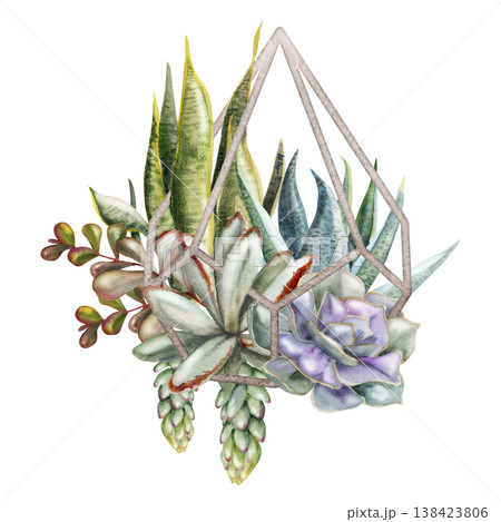 Watercolor echeveria rosette succulents in polygonal metal pyramid prism frame, sedum hanging clusters, aloe. Hand drawn for contemporary branding, sustainable business emblems, packaging badges. Watercolor echeveria rosette succulents in polygonal metal pyramid prism frame, sedum hanging clusters, aloe. Hand drawn for contemporary branding, sustainable business emblems, packaging badges. 138423806