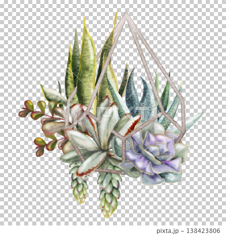 Watercolor echeveria rosette succulents in polygonal metal pyramid prism frame, sedum hanging clusters, aloe. Hand drawn for contemporary branding, sustainable business emblems, packaging badges. Watercolor echeveria rosette succulents in polygonal metal pyramid prism frame, sedum hanging clusters, aloe. Hand drawn for contemporary branding, sustainable business emblems, packaging badges. 138423806