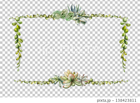 Watercolor rosette succulents, sansevieria echeveria sedum, cascading curio vines as corner frame. Isolated illustration hand drawn in watercolor. Botanical border for wedding stationery, menu cards Watercolor rosette succulents, sansevieria echeveria sedum, cascading curio vines as corner frame. Isolated illustration hand drawn in watercolor. Botanical border for wedding stationery, menu cards 138423811