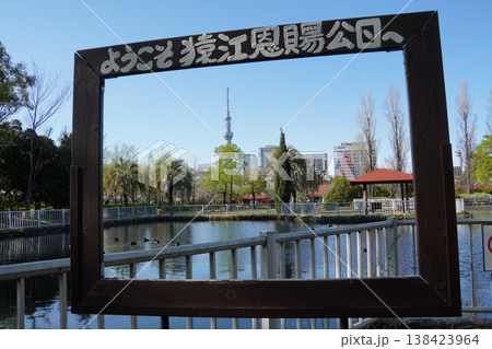 猿江恩賜公園のフレーム越しに見る東京スカイツリーと池の風景 猿江恩賜公園のフレーム越しに見る東京スカイツリーと池の風景 138423964
