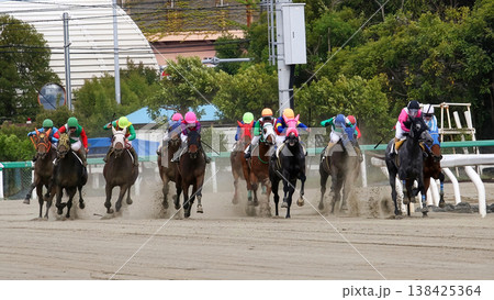 最後の直線で競り合う馬群 最後の直線で競り合う馬群 138425364