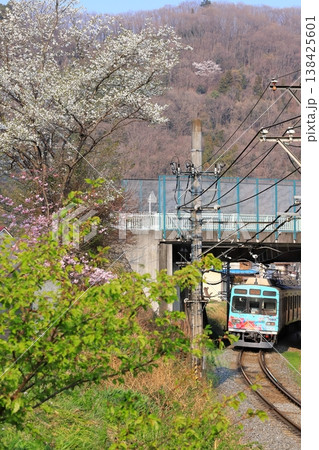 秩父鉄道「桜咲く長閑な沿線風景と電車」 秩父鉄道「桜咲く長閑な沿線風景と電車」 138425601