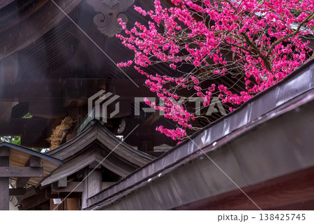 260401飛騨天満宮m102 260401飛騨天満宮m102 138425745