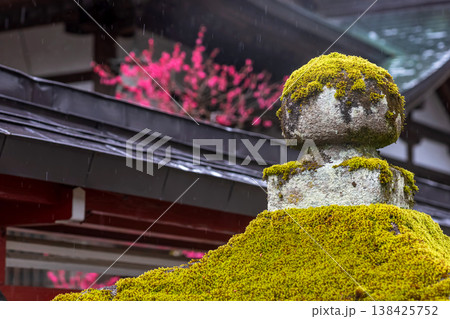 260401飛騨天満宮m115 138425752