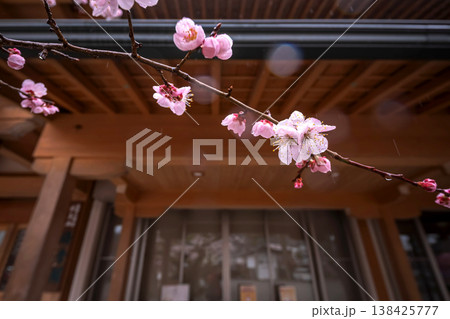 260401飛騨天満宮s171 138425777
