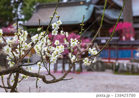 260401飛騨天満宮z003 138425780