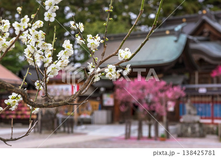 260401飛騨天満宮z004 260401飛騨天満宮z004 138425781