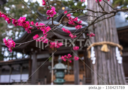 260401飛騨天満宮z020 260401飛騨天満宮z020 138425789