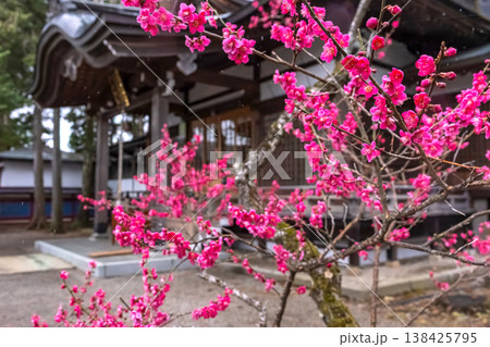 260401飛騨天満宮z028 138425795