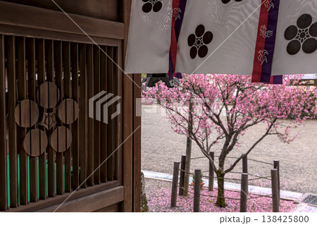 260401飛騨天満宮z036 138425800