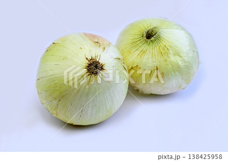 新たまねぎ（はるたま） 138425958