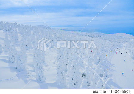 【快晴】蔵王のスノーモンスター、紺碧の空に映える純白の樹氷と冬の絶景 【快晴】蔵王のスノーモンスター、紺碧の空に映える純白の樹氷と冬の絶景 138426601