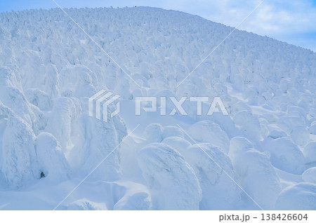 【快晴】蔵王のスノーモンスター、紺碧の空に映える純白の樹氷と冬の絶景 【快晴】蔵王のスノーモンスター、紺碧の空に映える純白の樹氷と冬の絶景 138426604