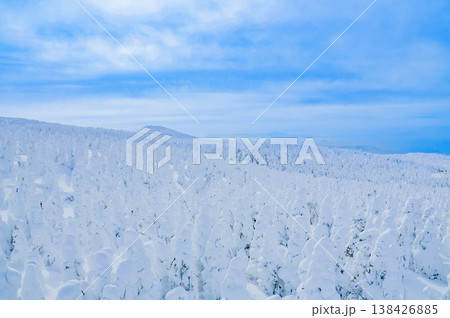 【快晴】蔵王のスノーモンスター、紺碧の空に映える純白の樹氷と冬の絶景 【快晴】蔵王のスノーモンスター、紺碧の空に映える純白の樹氷と冬の絶景 138426885