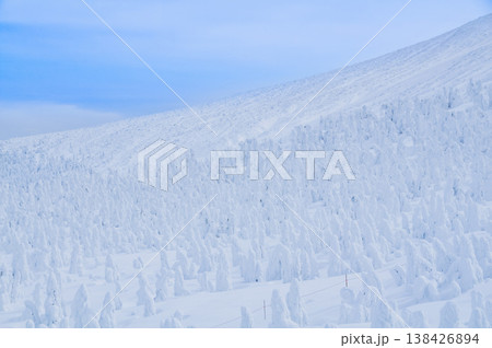 【快晴】蔵王のスノーモンスター、紺碧の空に映える純白の樹氷と冬の絶景 【快晴】蔵王のスノーモンスター、紺碧の空に映える純白の樹氷と冬の絶景 138426894