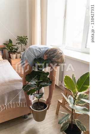 An elderly woman holds a potted ficus lyrata, enjoying her home gardening and caring for her well-being. Active retirement, indoor gardening, mindfulness, and connection with nature in personal space An elderly woman holds a potted ficus lyrata, enjoying her home gardening and caring for her well-being. Active retirement, indoor gardening, mindfulness, and connection with nature in personal space 138427331
