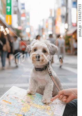 地図を広げて案内する小型犬の街歩きシーン 地図を広げて案内する小型犬の街歩きシーン 138427553
