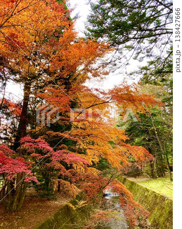 紅葉に彩られた小川の風景|秋の自然とせせらぎ 紅葉に彩られた小川の風景|秋の自然とせせらぎ 138427666